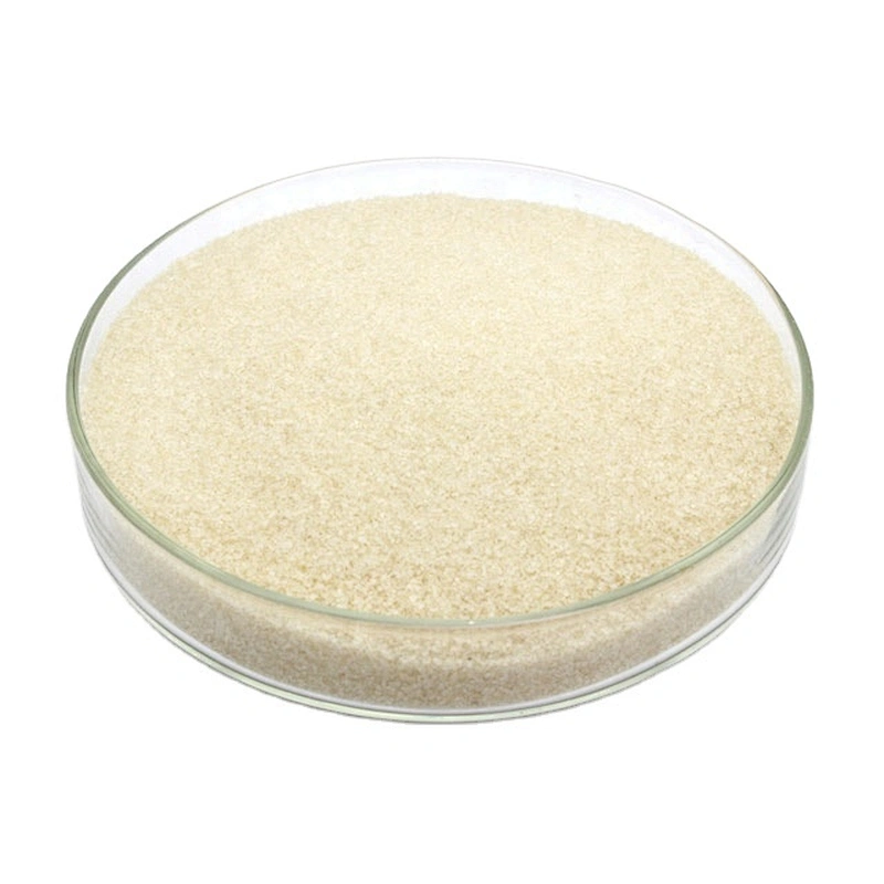 Food Additives CAS 9000-70-8 Bovine Skin Gelatin Bovine Beef Bone Gelatin 240 Bloom